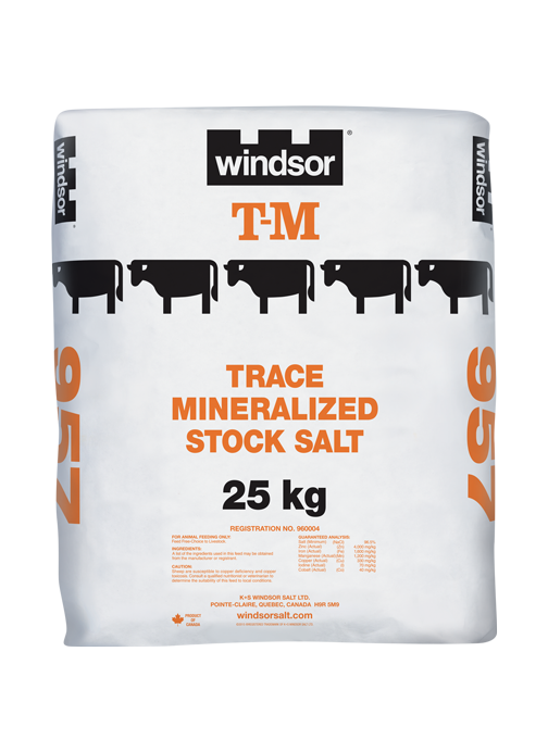 Current product image, A bag of trace mineralized salt