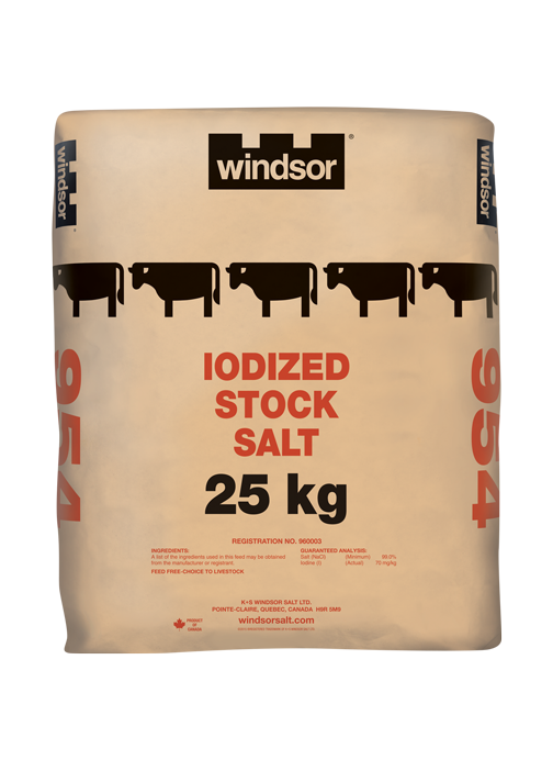 Windsor - Salt Free Salt Substitute Iodized