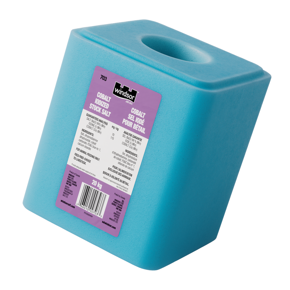 Current product image, cobalt iodized salt block