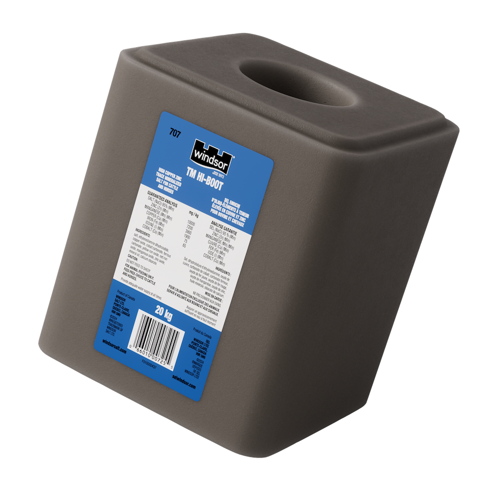 Current product image, TM hi boot